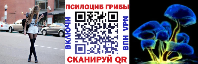 omg ССЫЛКА Новороссийск Псилоцибиновые грибы прущие грибы