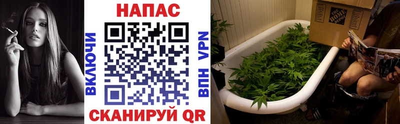 Конопля LSD WEED  наркошоп  Новороссийск 