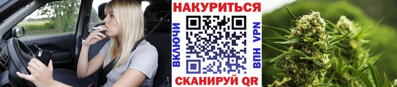 Бошки Шишки ГИДРОПОН Новороссийск